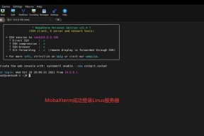 Linux下如何查看存储空间大小（使用Linux命令快速准确地查看存储空间大小）