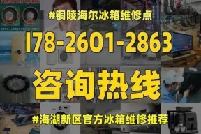 如何修理海尔冰箱故障显示U1的问题（海尔冰箱故障显示U1的维修方法详解）