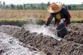 生石灰清洗油烟机（用生石灰轻松清除油烟机上的顽固油垢）