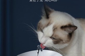 如何正确处理猫咪饮水机中的水（保持猫咪健康的关键是给予干净新鲜的饮水）