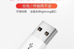 如何查询苹果充电器头正品（找到正品苹果充电器头的简便方法）