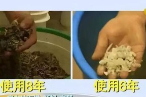 去除热水器内的水垢方法（简单有效的水垢清理技巧）