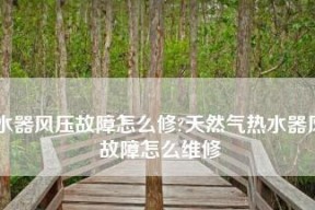 解读夏普热水器显示E4故障（E4故障的原因与解决方案）