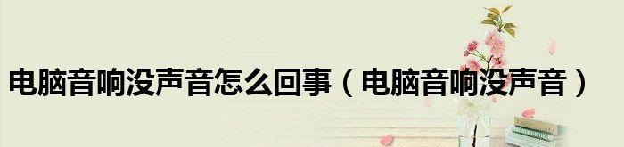 电脑音响无声音的解决方法（电脑音响静音故障的排除步骤）  第3张