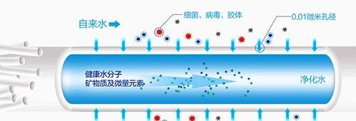 净水器滤芯持续滴水的解决方法（发现净水器滤芯持续滴水）  第2张