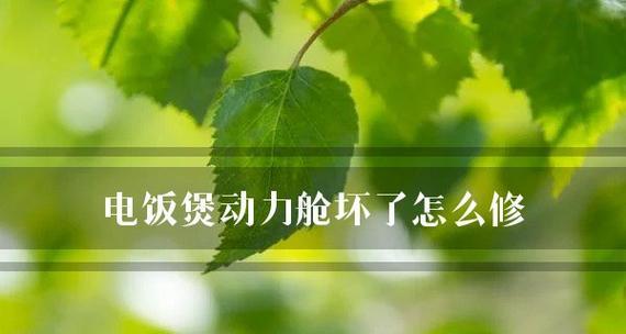 电饭煲动力舱坏了怎么办（解决电饭煲动力舱故障的方法及注意事项）  第1张