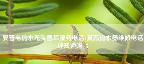 夏普燃气热水器出现故障代码怎么办？维修步骤有哪些？  第1张